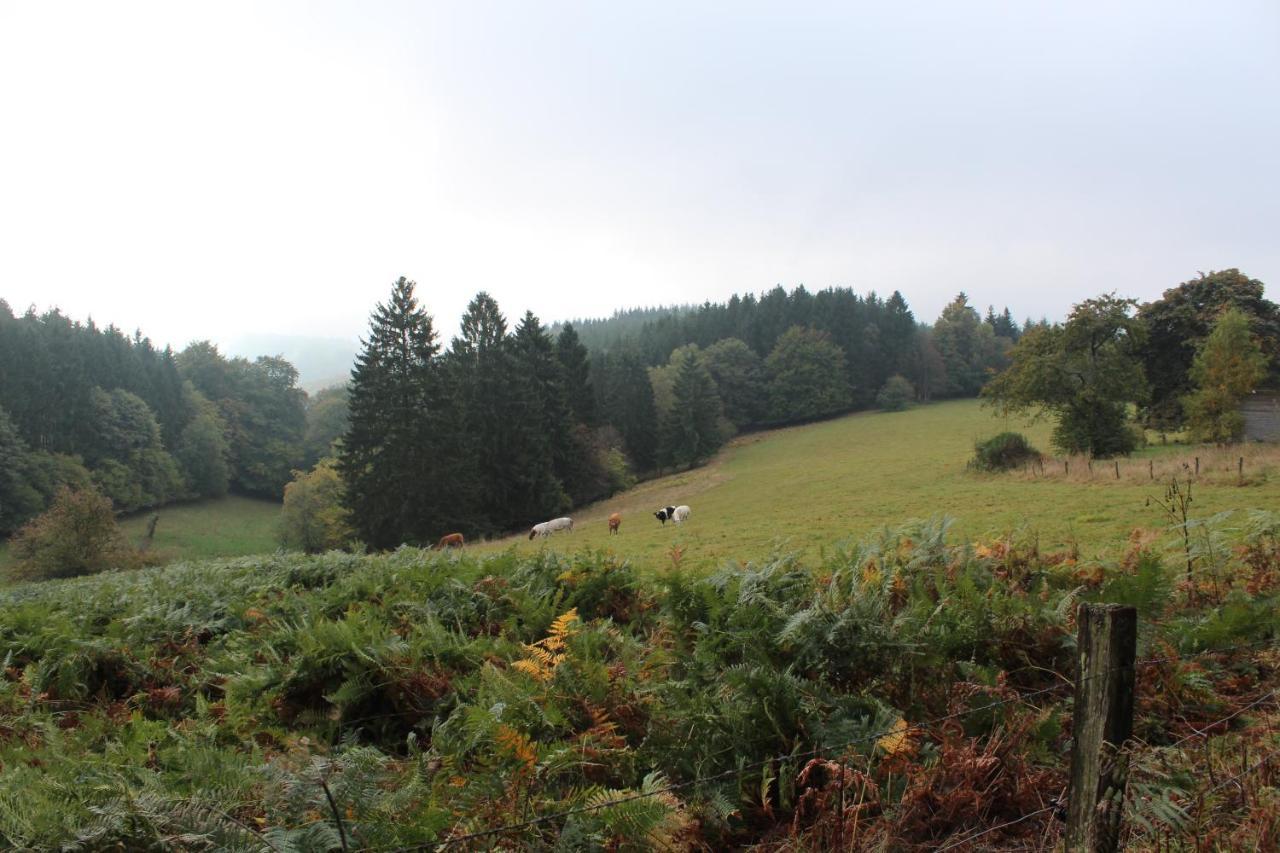 Ardennature Vakantiehuizen Met Prive-Sauna La-Roche-en-Ardenne Zewnętrze zdjęcie