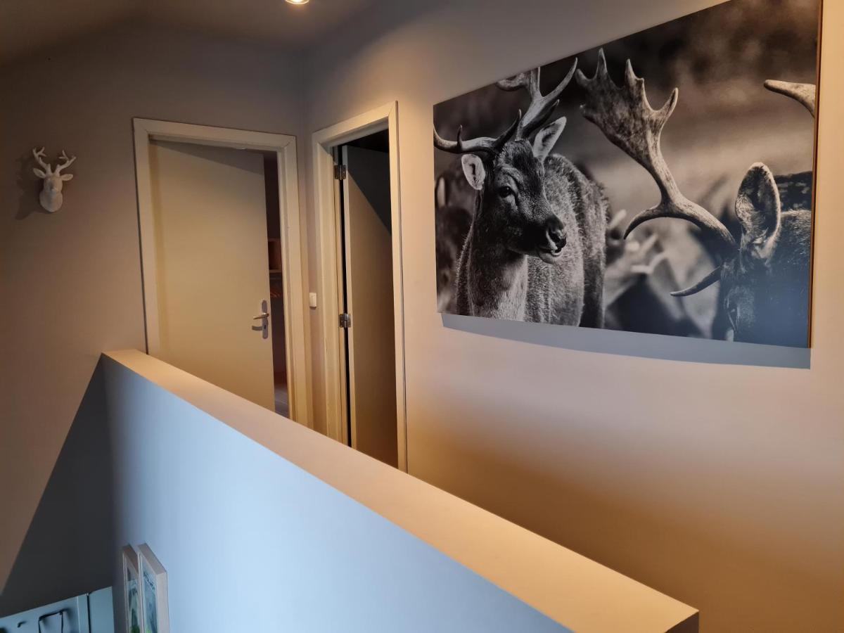 Ardennature Vakantiehuizen Met Prive-Sauna La-Roche-en-Ardenne Zewnętrze zdjęcie